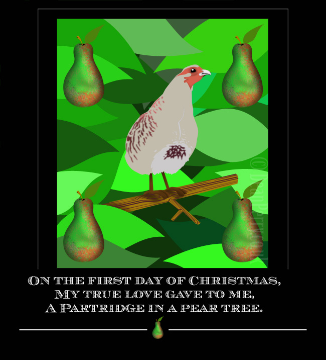 link picture to the 12 days project gallery