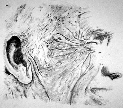 My Hero, Eric Perry, my Dad (RIP 2013)
He was a lecturer by trade, but was the best teacher of life. Each of those laughter lines tells an incredible story.