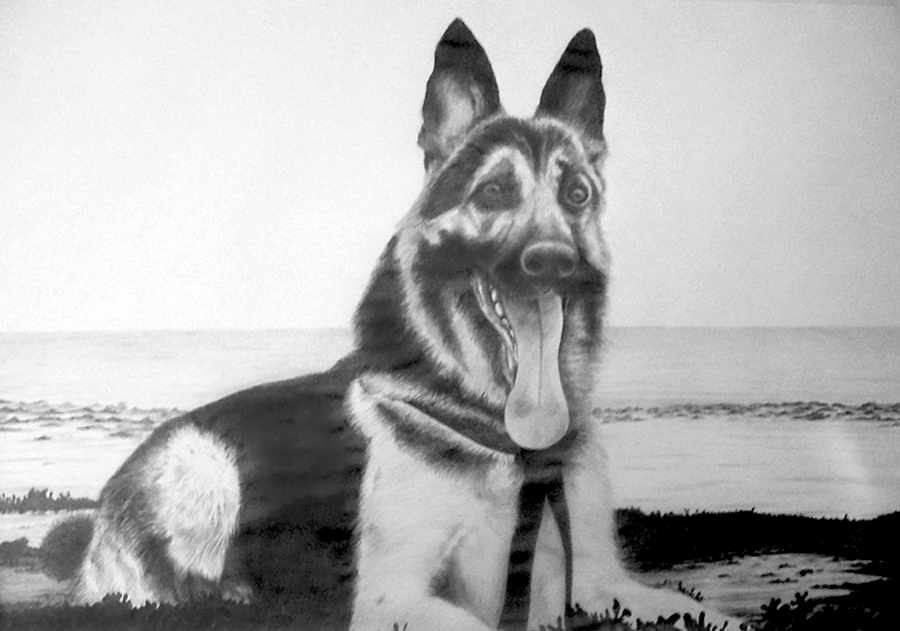 A very large pencil portrait of a friend's best friend. He is a Chelsea fan, so Lampard was a great dog, as well as a good footballer. I didn't have much equipment or resources, so I regret the use of thin cartridge paper, of course, I'd do it on board nowadays.